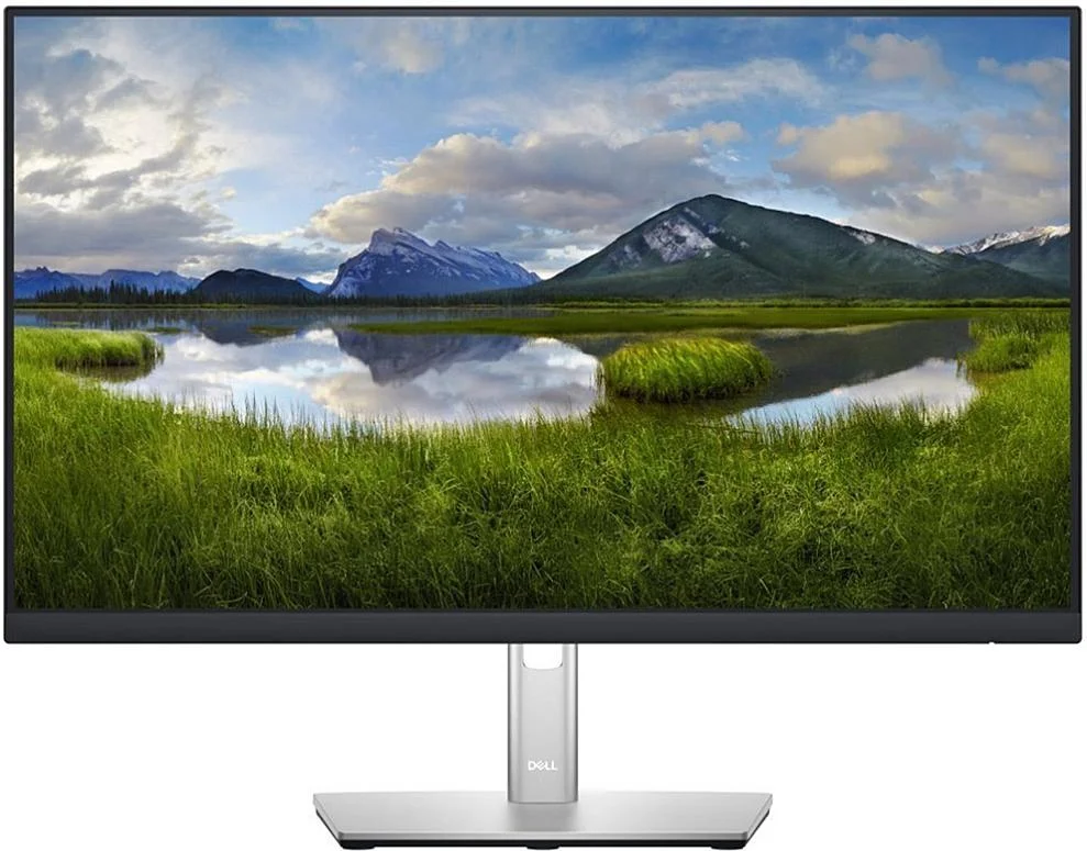 Dell P2422H Akční Nabídka