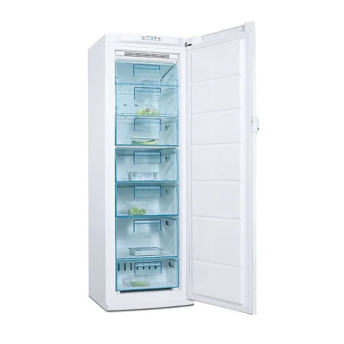 Objednat Nyní Electrolux EUF 27391W5